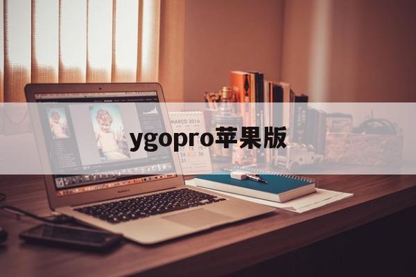 ygopro苹果版(ygoproios版)-第2张图片-QuickQ官网