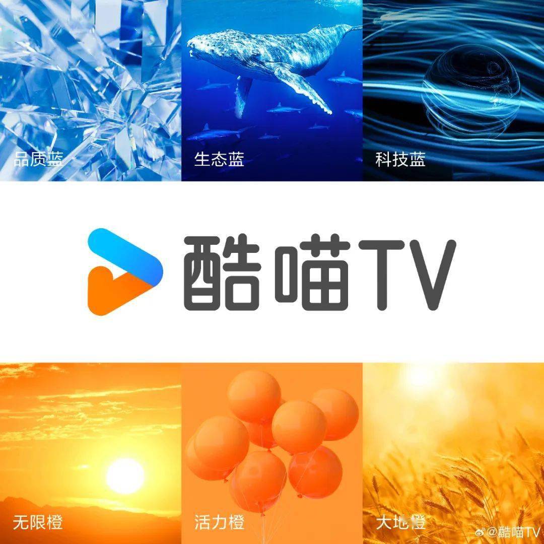 优酷安卓版最新版下载(优酷app下载安装2018版)