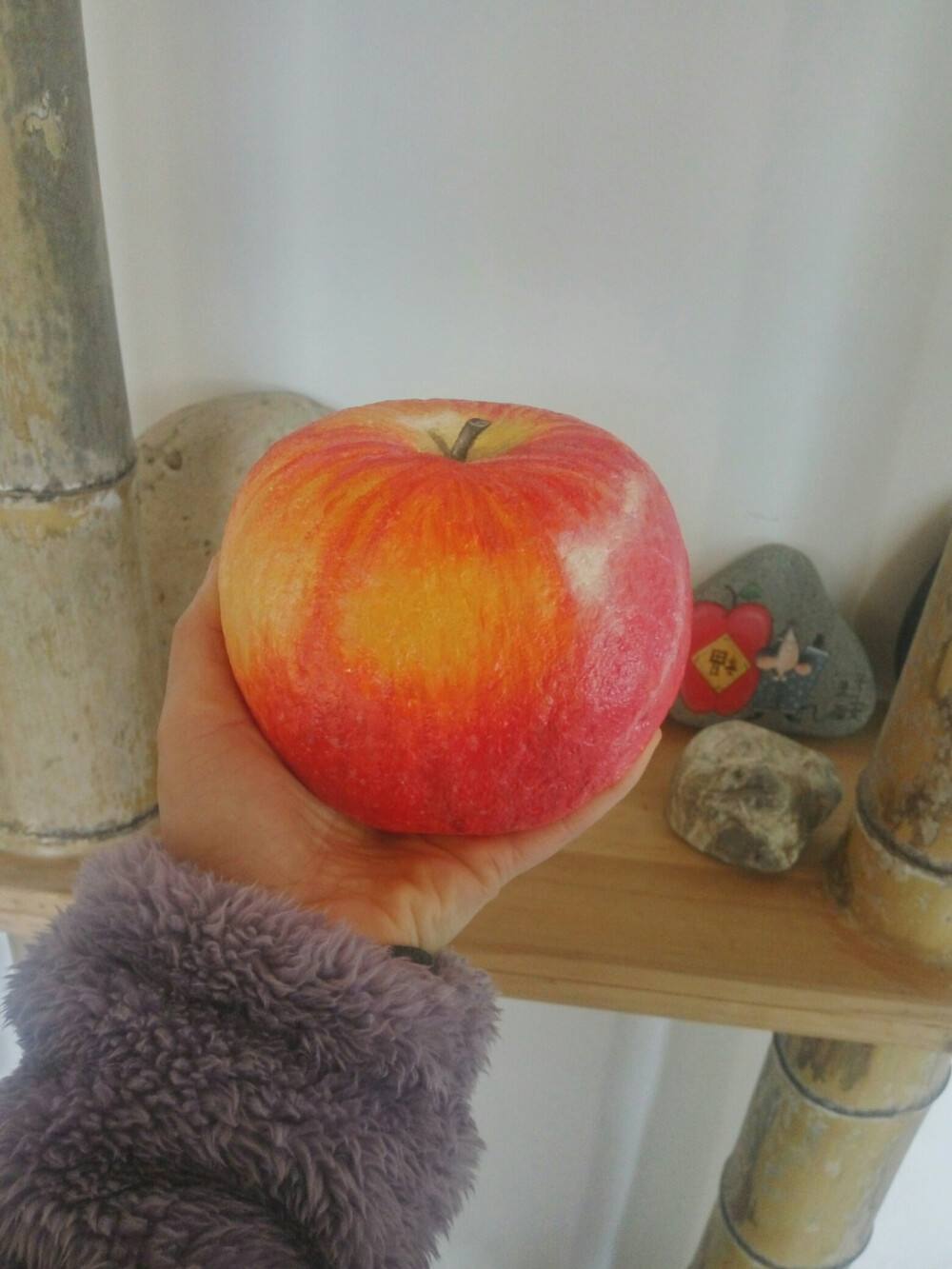 石头苹果版(石头阅读苹果版下载怎么没有)