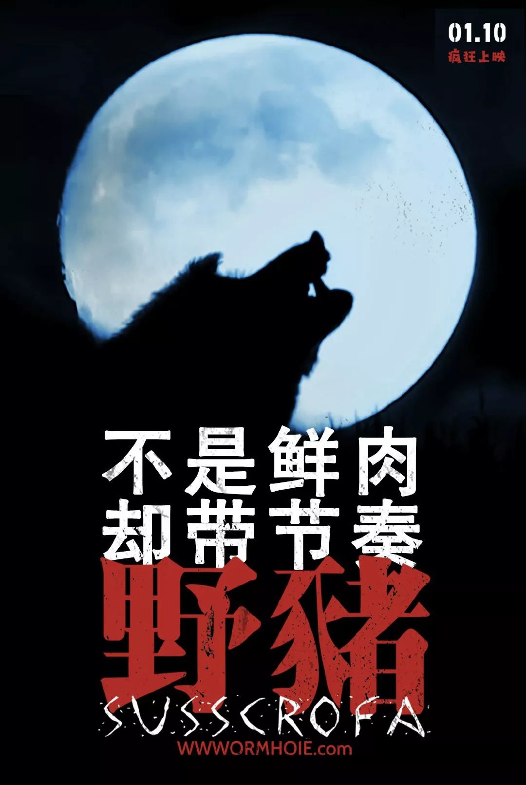 野猪影院手机版(野猪影院手机版下载)-第5张图片-QuickQ官网