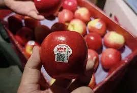 leb苹果版(lezhin苹果怎么下载)-第2张图片-QuickQ官网 leb苹果版(lezhin苹果怎么下载)-第2张图片-QuickQ官网