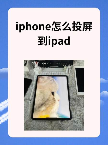 connectapp苹果版(connect to app store)-第3张图片-QuickQ官网