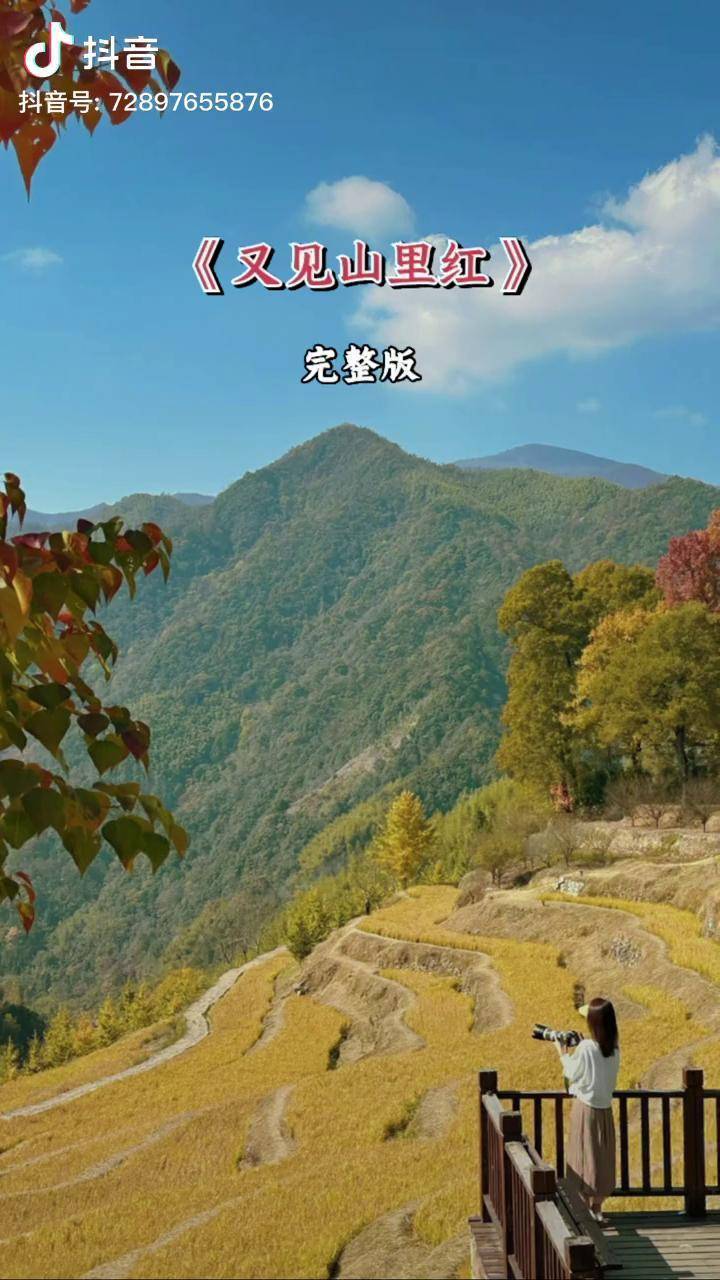 又见山里红手机铃声版(来年仍有桂花香是什么歌)-第3张图片-QuickQ官网 又见山里红手机铃声版(来年仍有桂花香是什么歌)-第3张图片-QuickQ官网