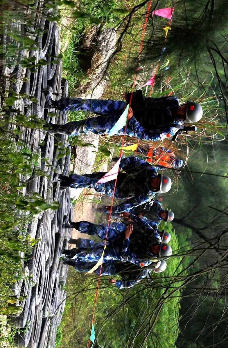 生存之路手机版(生存之路1)