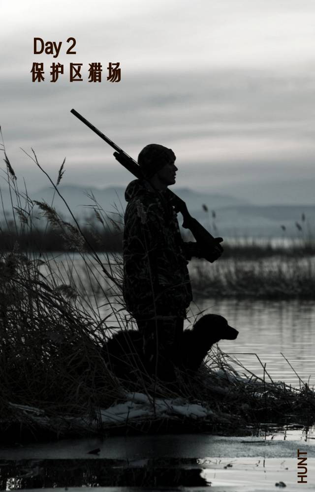 生存之路手机版(生存之路1)-第5张图片-QuickQ官网