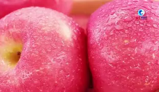 苹果版windlink(苹果版windows模拟器)-第4张图片-QuickQ官网 苹果版windlink(苹果版windows模拟器)-第4张图片-QuickQ官网