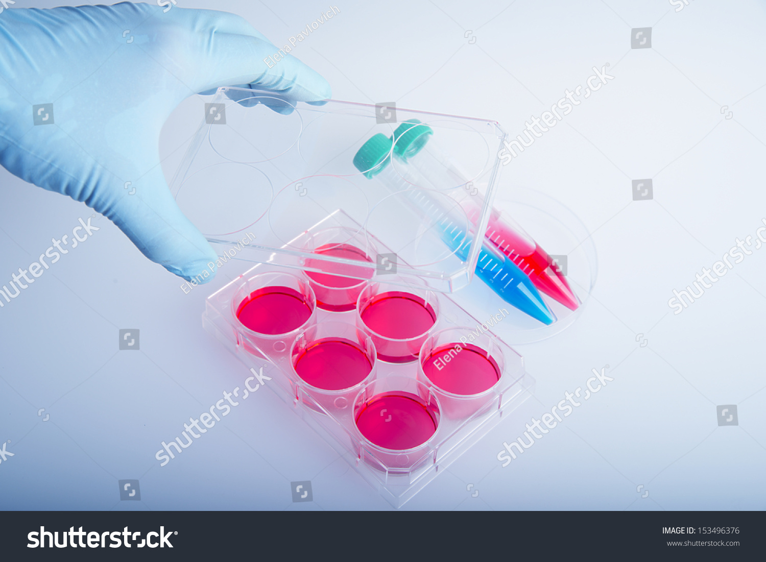 imagelab苹果版(image lab for mac)-第4张图片-QuickQ官网 imagelab苹果版(image lab for mac)-第4张图片-QuickQ官网