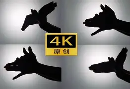 影子苹果版(影子传说手机版苹果版)-第3张图片-QuickQ官网 影子苹果版(影子传说手机版苹果版)-第3张图片-QuickQ官网